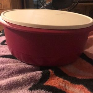 New never used 40 cup Tupperware bowl with seal